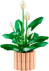 לגו שושן השלום - 11504 - תמונת מוצר