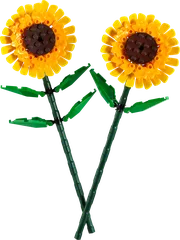 לגו חמניות - 40524 - תמונת מוצר